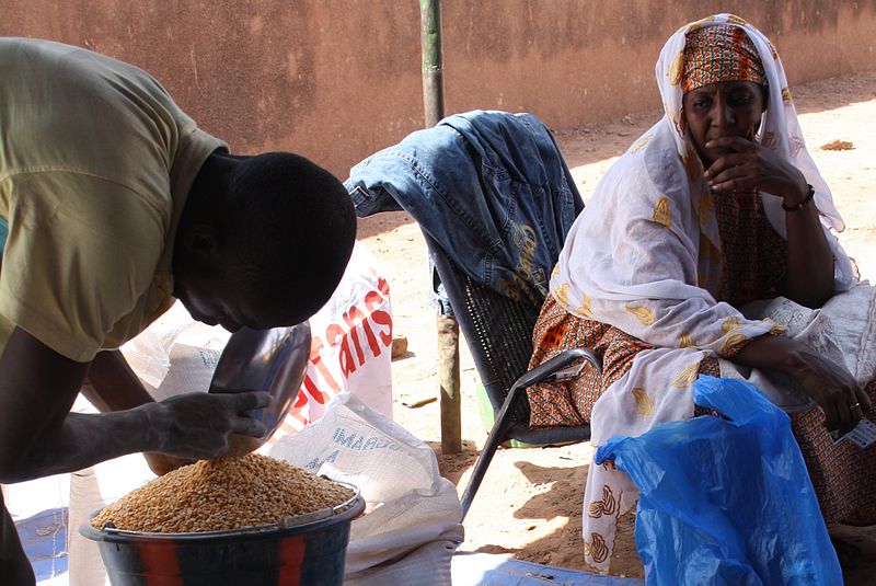 800px-Patiently_waiting_for_food_aid_in_Bamako,_Mali_(8509960593)